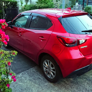 CX-3 DK5FW