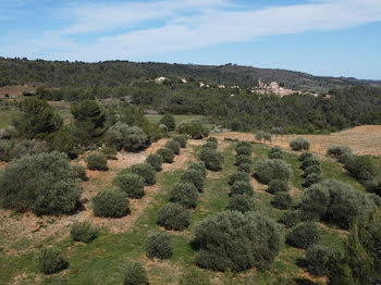 terrain à Montouliers (34)