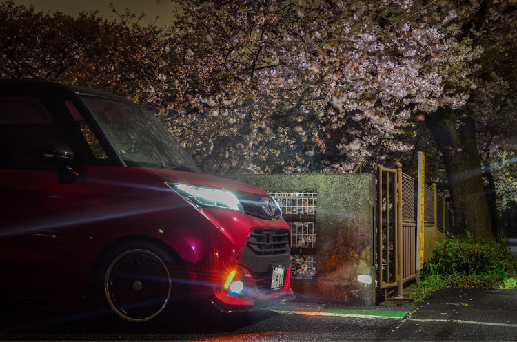 タンクカスタムのタンク・夜桜に関するカスタム事例の投稿画像2枚目