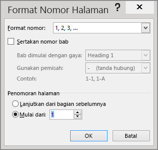 Opsi di dalam kotak dialog Format Nomor Halaman diperlihatkan.