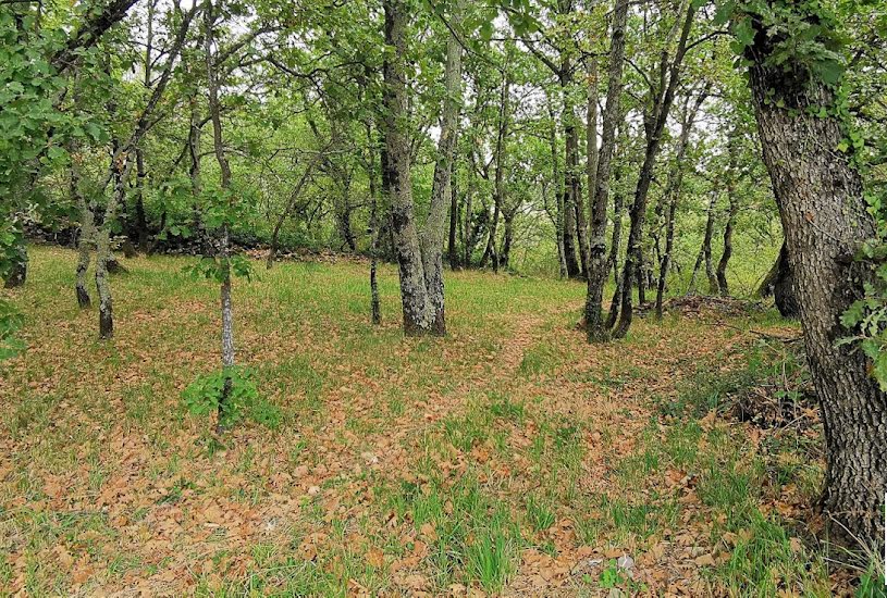  Vente Terrain à bâtir - 640m² à Coux (07000) 