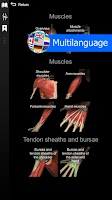 Anatomy Learning - 3D Anatomy Screenshot