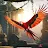 Wild Parrot Care: Bird Life icon