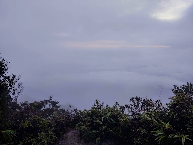 Gunung Tahan Peak