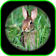 Download Rabbit Sniper Hunting : Shooting Challenge Games For PC Windows and Mac