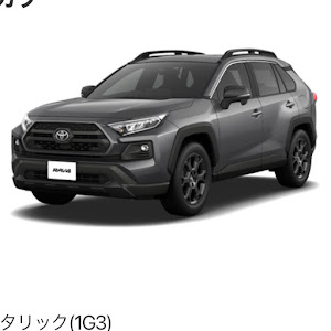 RAV4 MXAA54