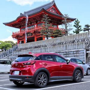 CX-3 DK5FW