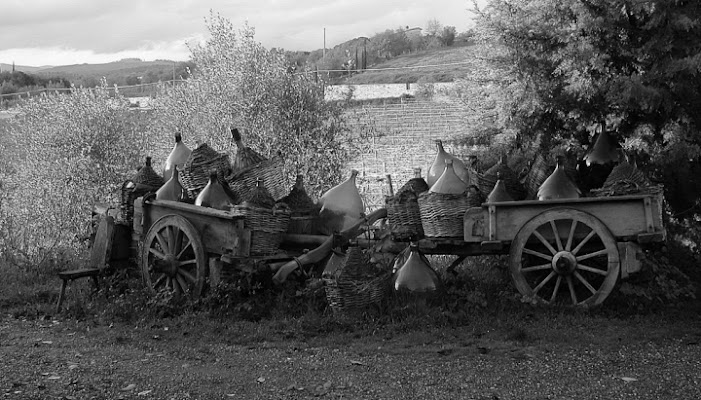 Per...Bacco! di stegaudina