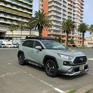 RAV4 MXAA54