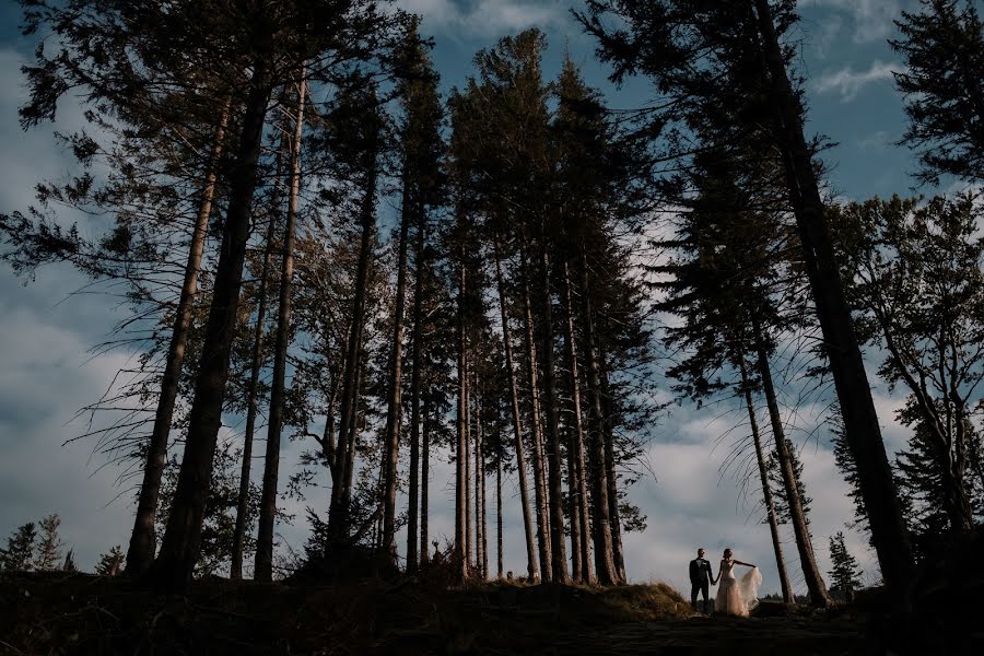 Весільний фотограф Piotr Zawada (piotrzawada). Фотографія від 1 листопада 2018