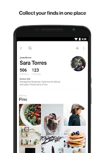   Pinterest- screenshot thumbnail   