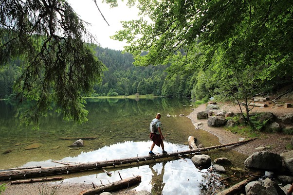 15 días por la Selva Negra y la Alsacia Francesa - Blogs de Alemania - Todtnau, lago Feldsee y lago Titisee - DOMINGO 9 DE JULIO, (34)