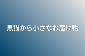 黒猫から小さなお届け物