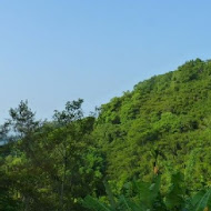 山水居休閒農場 •客家餐廳