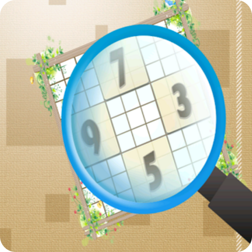 Sudoku Challenge