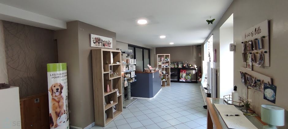 Vente locaux professionnels  90 m² à Carhaix-Plouguer (29270), 50 500 €