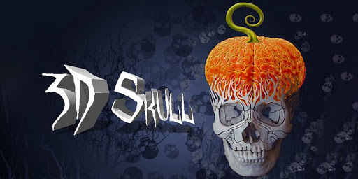 3D Skull Solo Theme