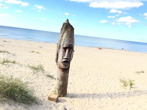 Wooden Beach Guardian 