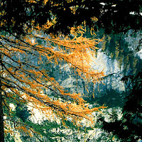 Riflessi autunnali nel lago di Braies di 