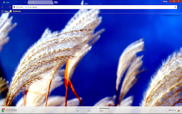 Blue Feather Grass Nature chrome extension