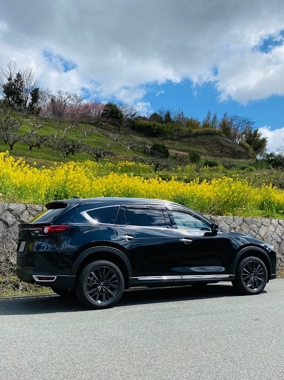 CX-8のエイタロウ・写活・菜の花・菜の花と愛車に関するカスタム事例の投稿画像3枚目
