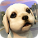 Course de Chiens icon