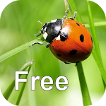 Cover Image of Baixar Nature Free - Europe 2.1 APK