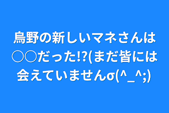 「烏野の新しいマネさんは○○だった!?(まだ皆には会えていませんσ(^_^;)」のメインビジュアル