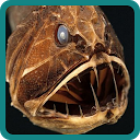 Descargar la aplicación Marine Animals Quiz Instalar Más reciente APK descargador