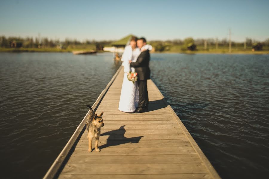 Весільний фотограф Антон Дмитриченко (mouseii). Фотографія від 30 квітня 2014