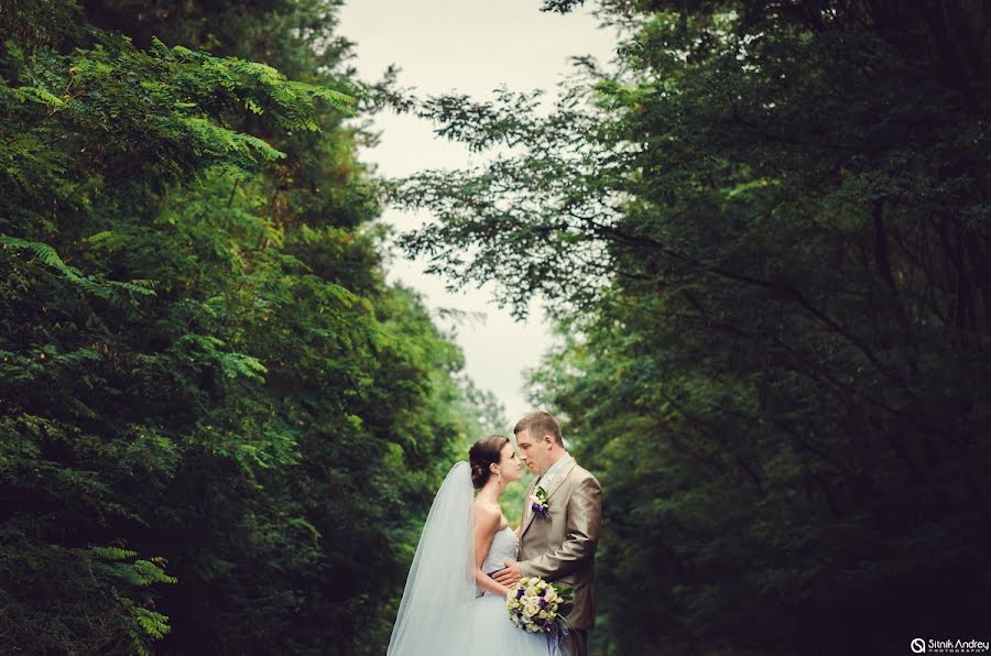 婚禮攝影師Andrey Sitnik（sitnikphoto）。2013 8月27日的照片