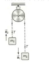 Motion of Center of Mass