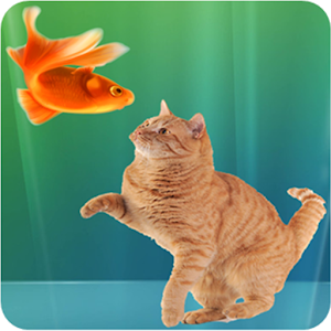 Download Cat Fishing Nice Free Game! For PC Windows and Mac