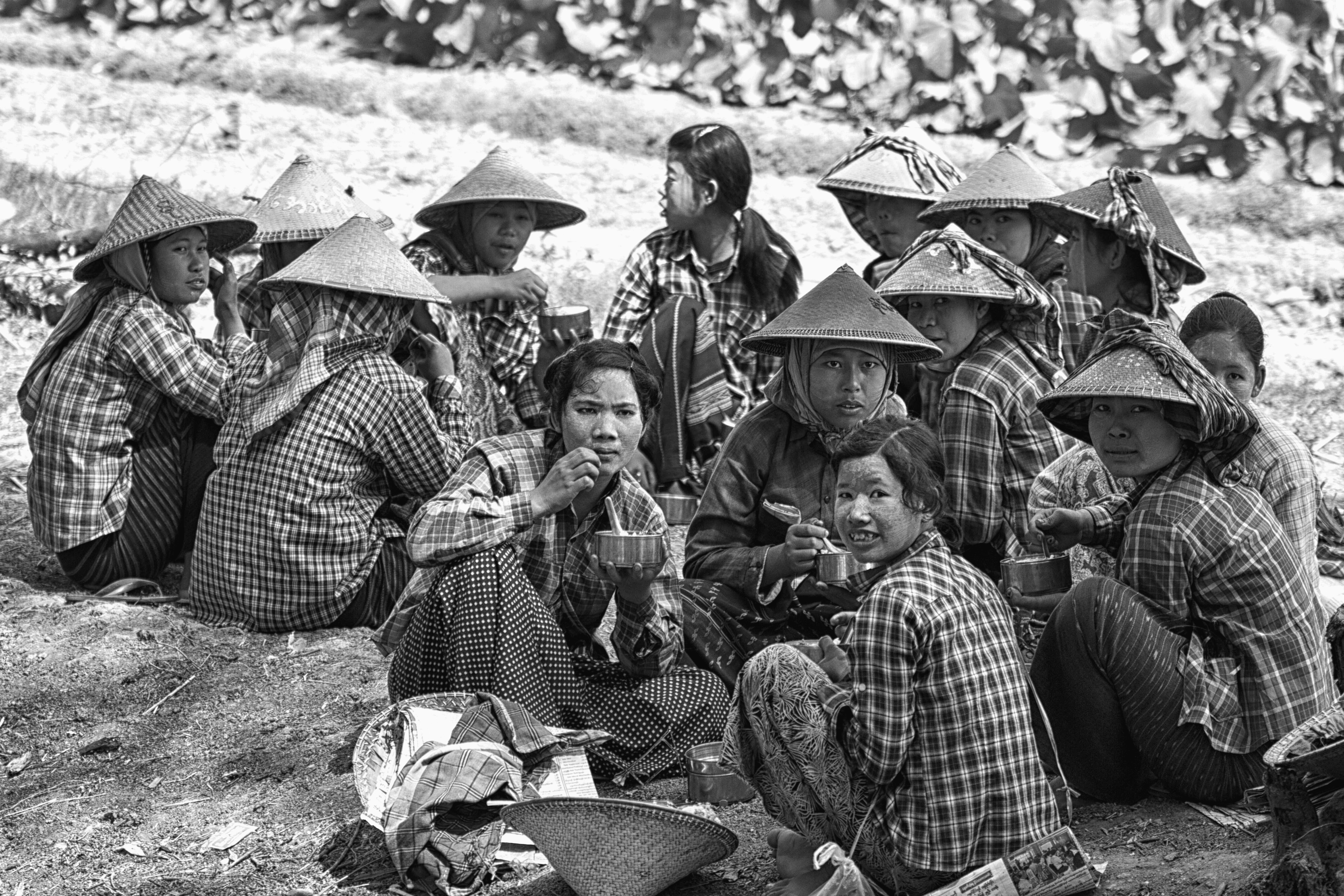 c'è picnic e picnic di antonioromei