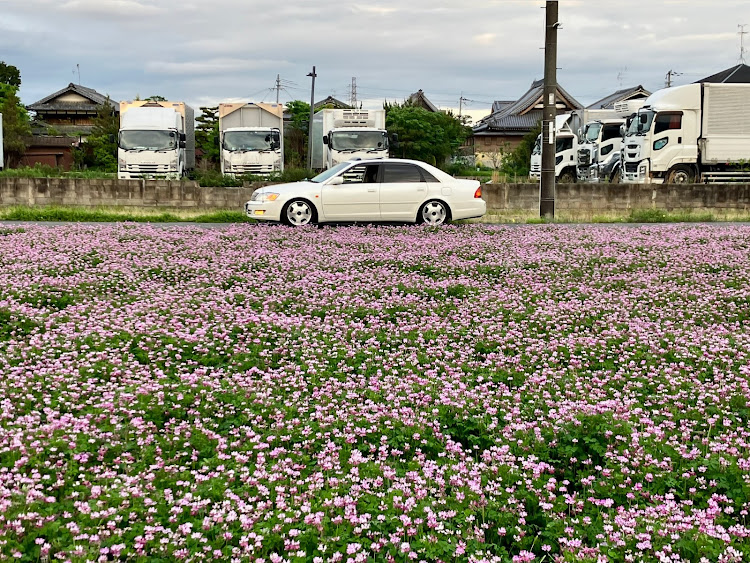 の投稿画像3枚目