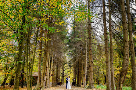 Fotógrafo de casamento Petronela Serbanescu (petronela-serba). Foto de 5 de janeiro