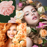 Roses Photo Collage  Icon