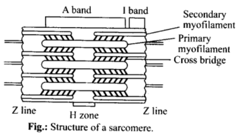 Solution Image