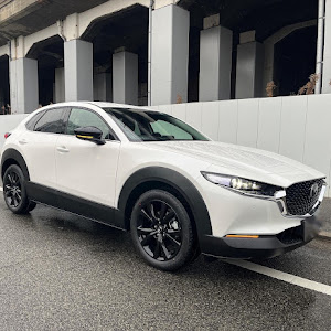 CX-30 DM8P