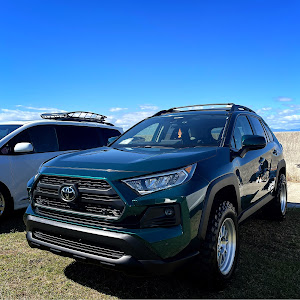 RAV4 MXAA54