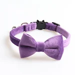 purple bowknot