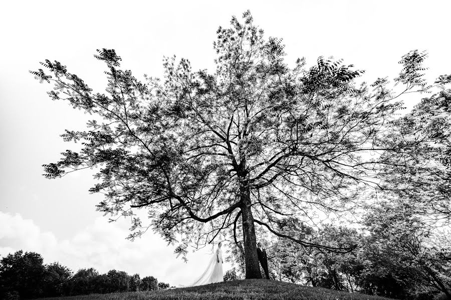 Fotografo di matrimoni Dmytro Sobokar (sobokar). Foto del 30 luglio 2018