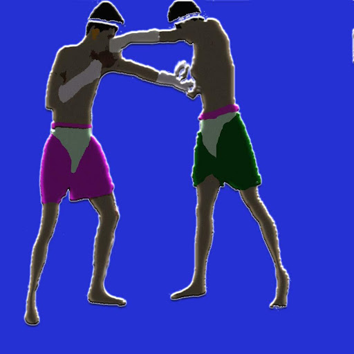 mauy thai fighter games