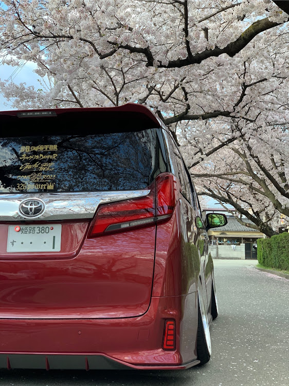 アルファードの桜・コロナ・MT・326powerに関するカスタム事例の投稿画像1枚目