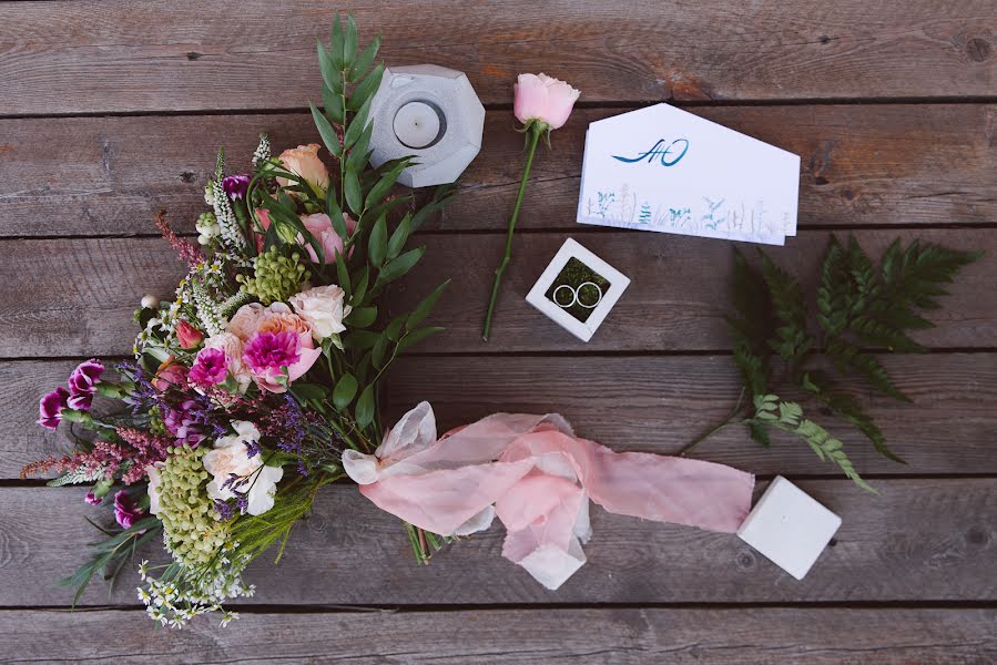 Fotografo di matrimoni Elizaveta Efimova (efimovaelizavet). Foto del 15 gennaio 2017