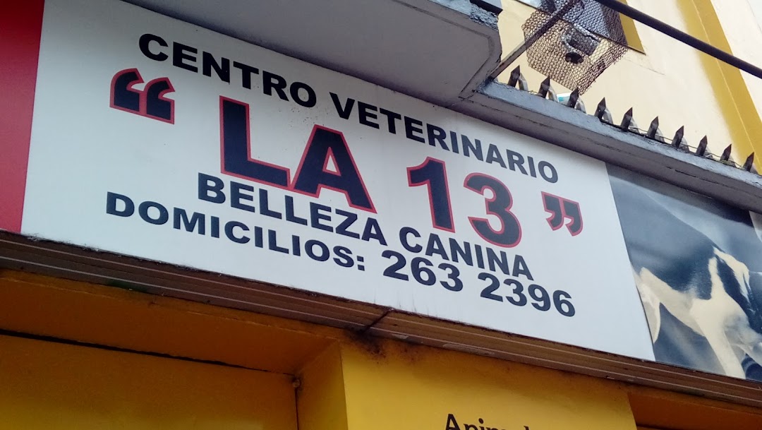 Centro Veterinario La 13