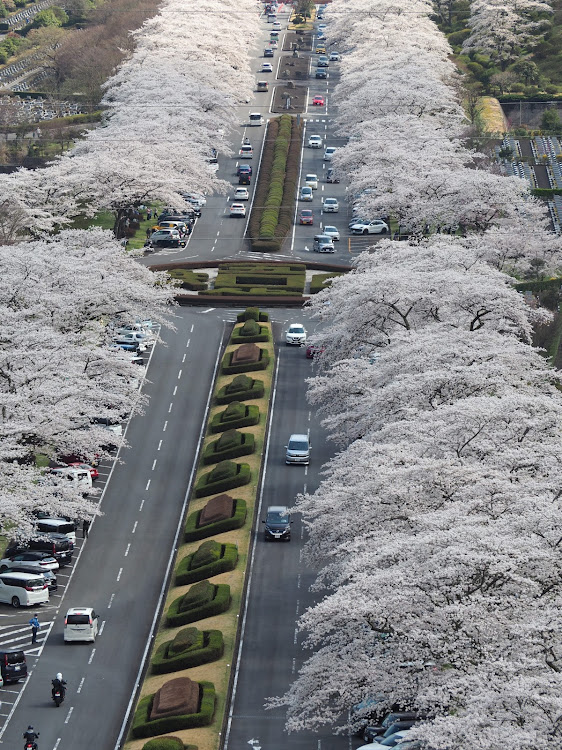 の投稿画像2枚目