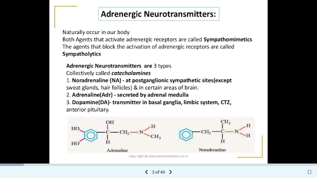 JoVE Science Education > Drugs Acting on Autonomic Nervous System:  Adrenergic Agonists and Antagonists Agents