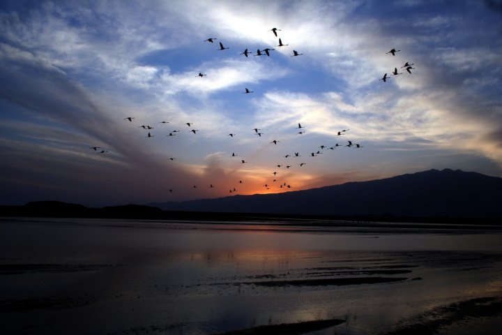 Un ultimo tramonto di tarlino