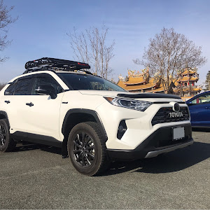 RAV4 AXAH54